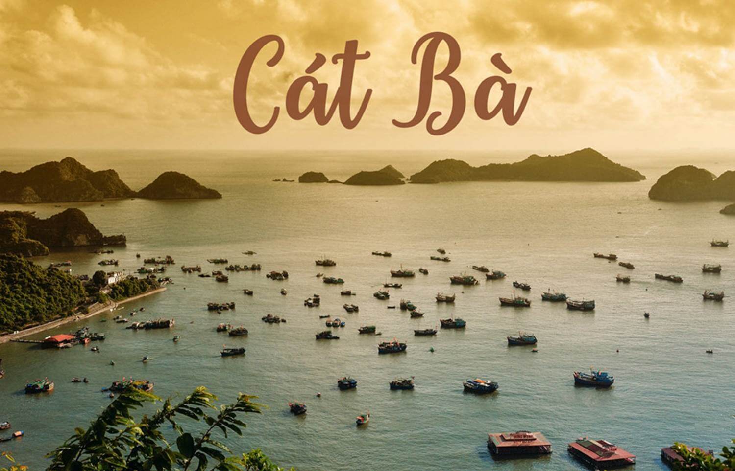 Kinh nghiệm du lịch Cát Bà chi tiết mới nhất 2023