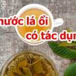 Uống nước lá ổi có tác dụng gì
