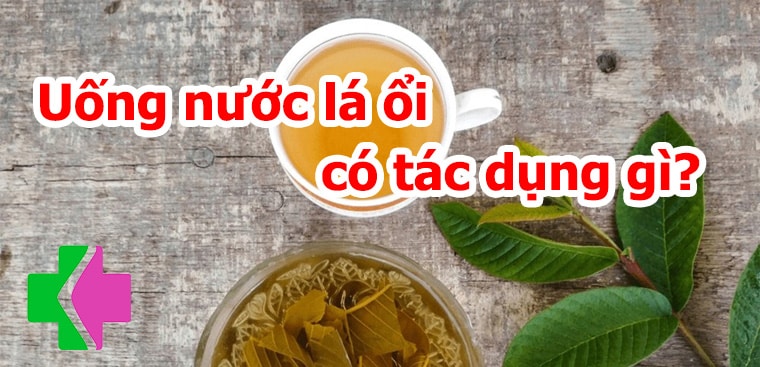 Uống nước lá ổi có tác dụng gì? Công dụng, cách dùng