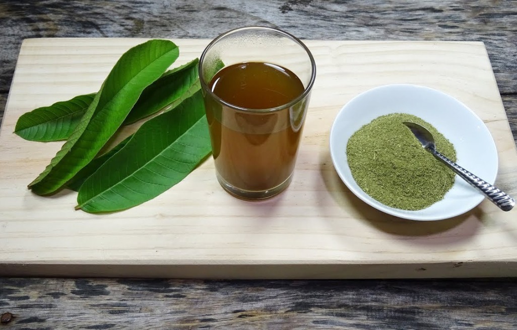 Uống nước lá ổi có tác dụng gì