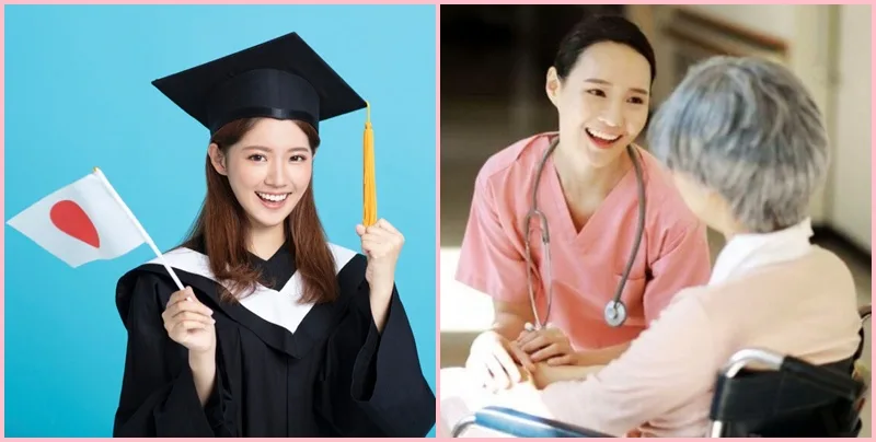 Tìm hiểu: Đi du học Nhật nên học ngành gì?
