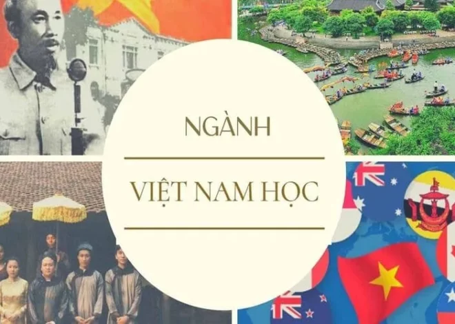 Việt Nam học là ngành gì? Học ngành Việt Nam học ra làm gì?