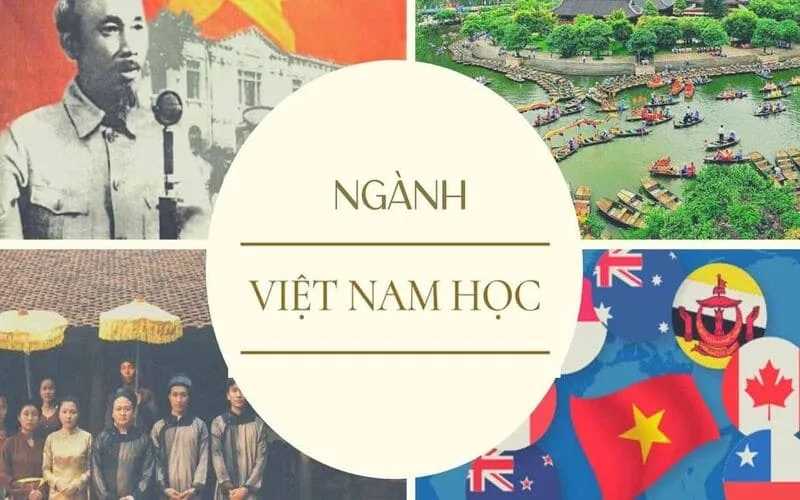 Việt Nam học là ngành gì? Học ngành Việt Nam học ra làm gì?