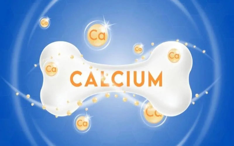 Các thực phẩm giàu canxi: Danh sách thực phẩm tốt cho xương khớp và sức khỏe